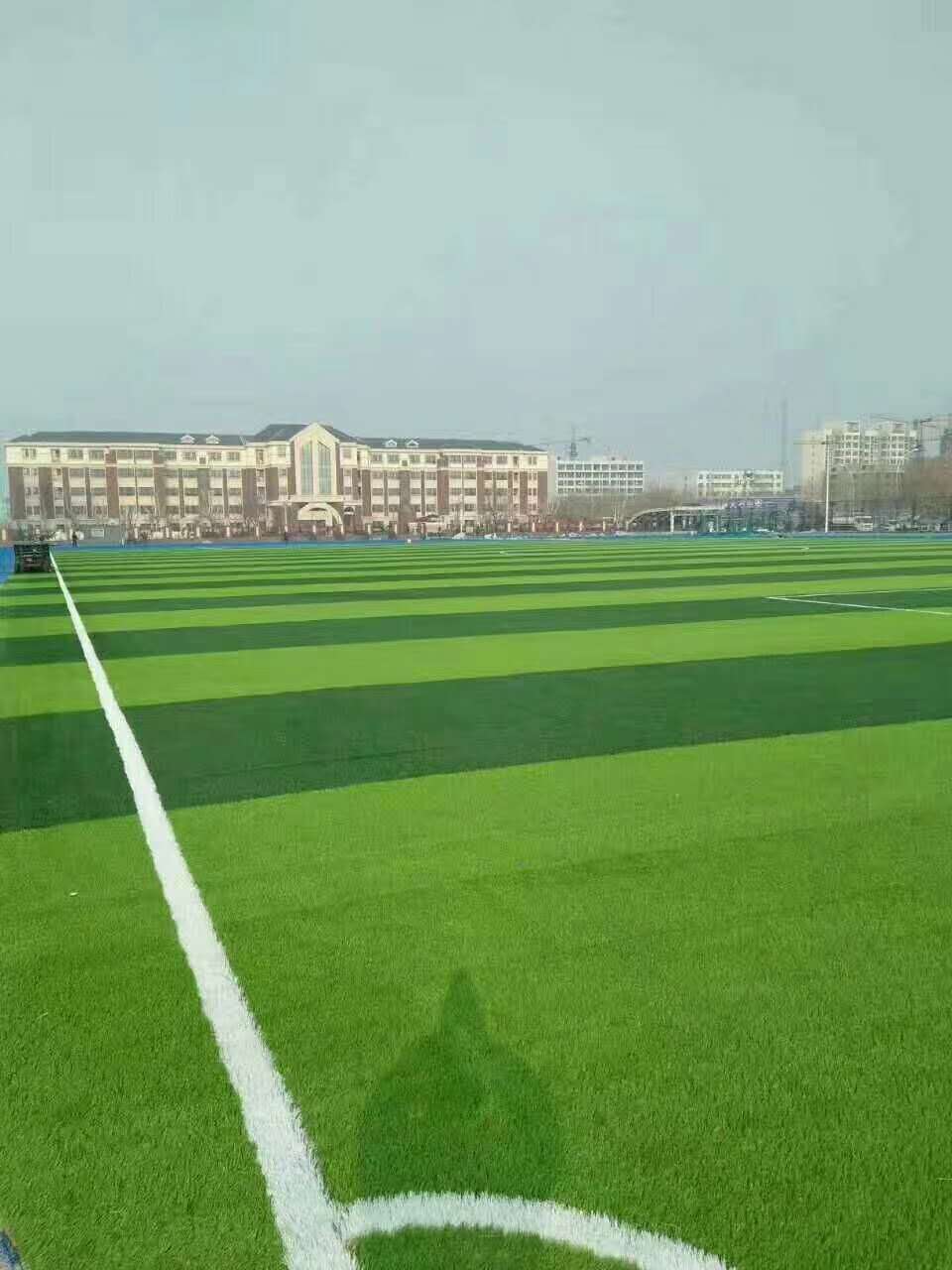 衡阳市学校运动操场仿真草坪 - 厂家